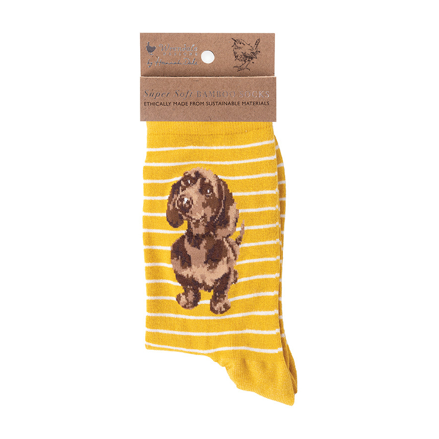 Wrendale Socken "Little One" mit Dackel