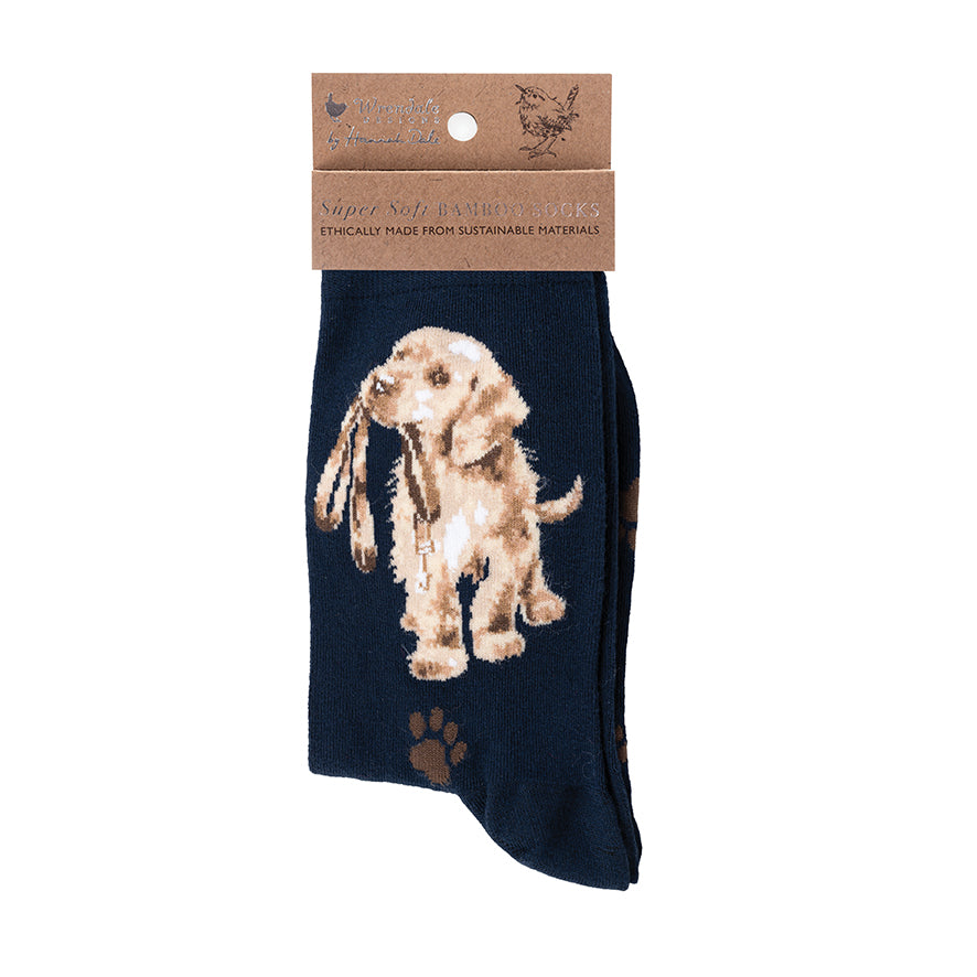 Wrendale Socken "Hopeful" mit Hund