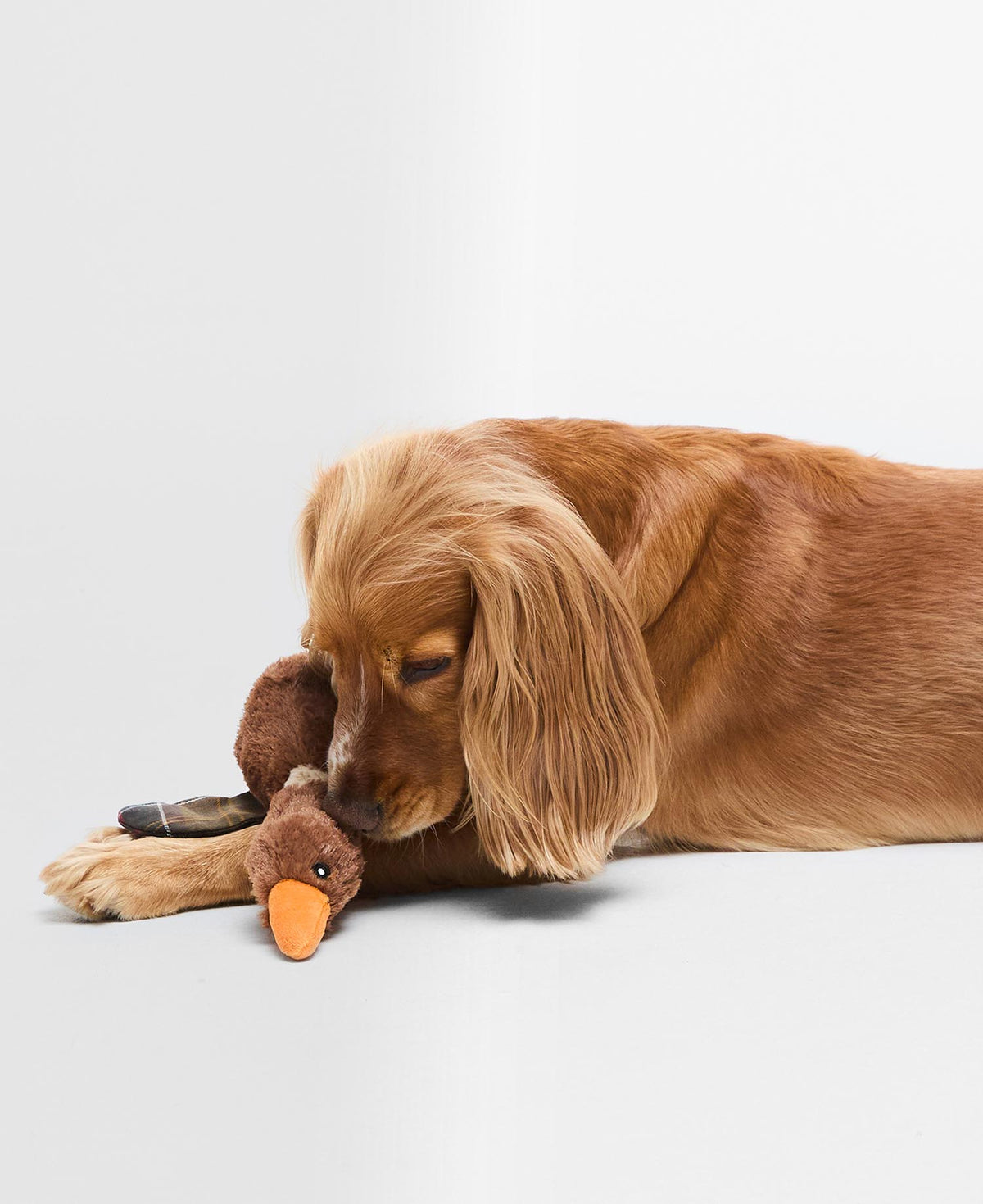 Barbour Hundespielzeug Ente