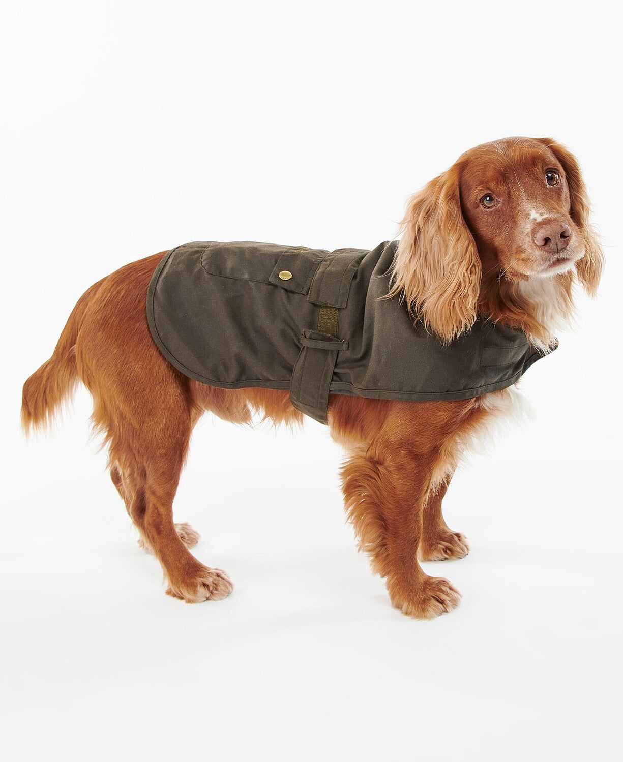 Barbour dog wax jacket hotsell