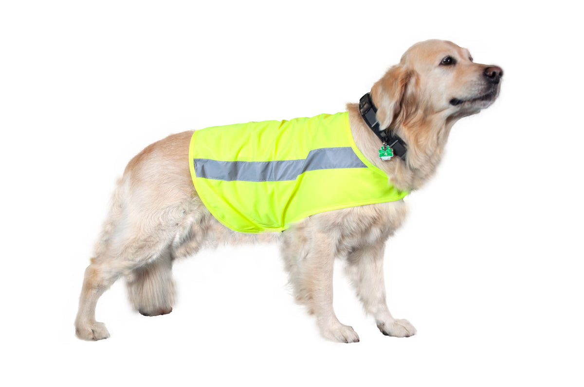Hubertus Warnweste für Hunde