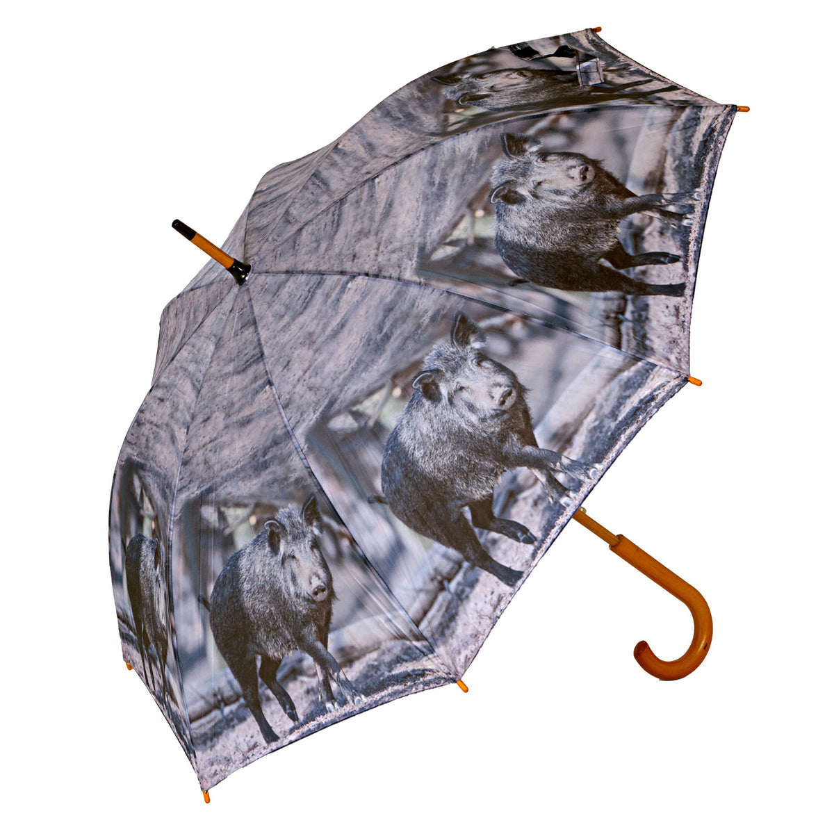 Regenschirm Wildschwein