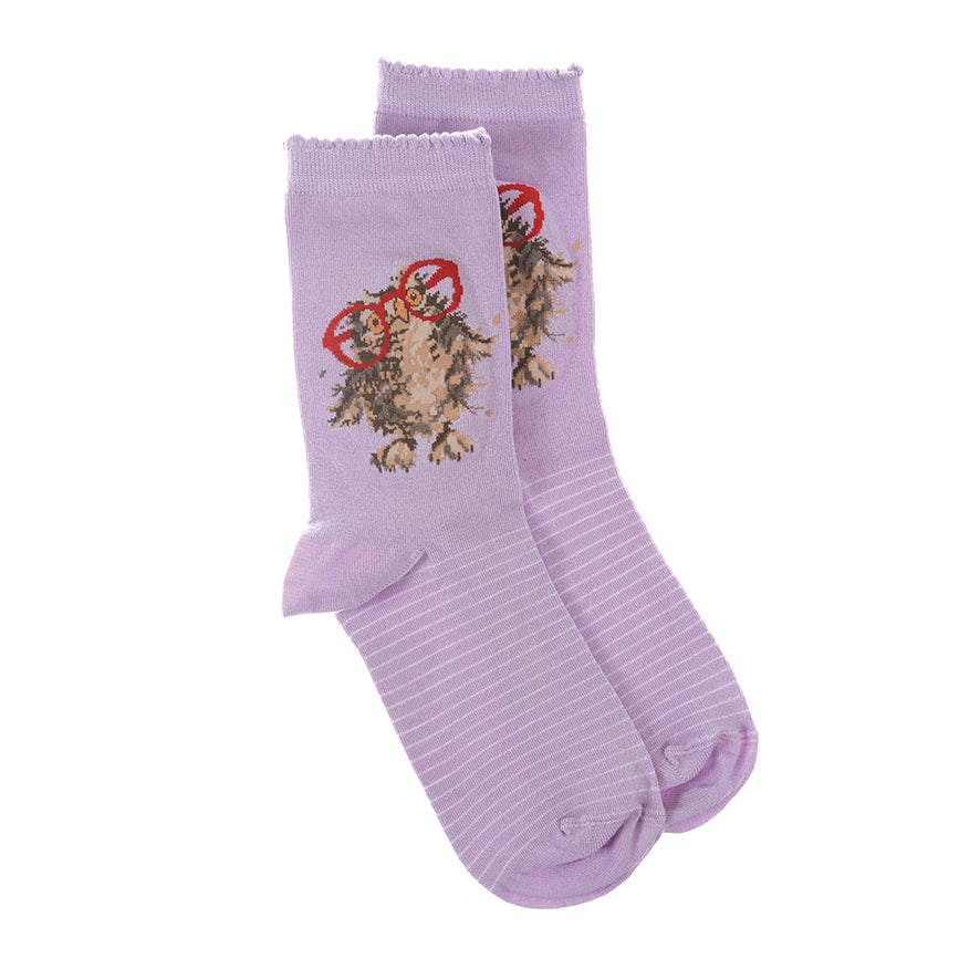 Wrendale Socken "Spectacular" mit Eule